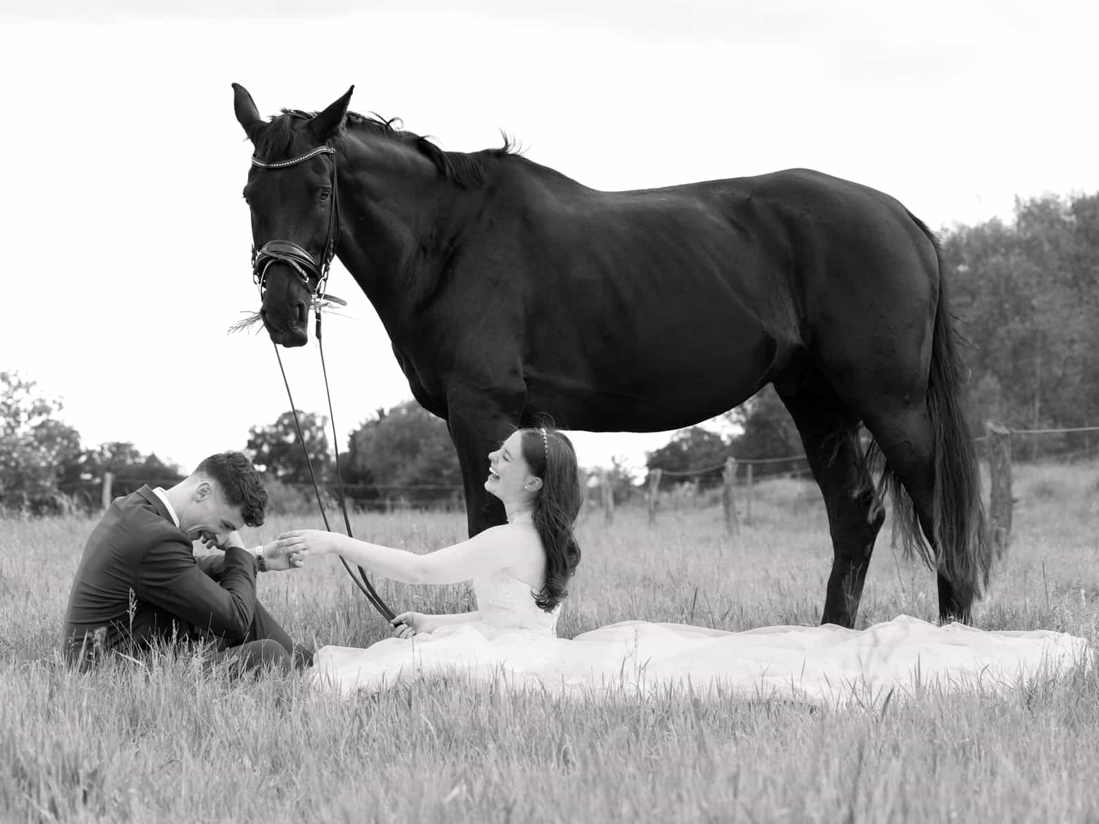 Brautpaar sitzt im Gras neben schwarzem Pferd, Bräutigam küsst Brauthand