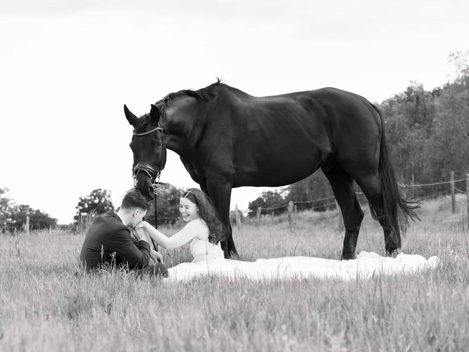 Laughing couple sitting on meadow, groom kissing bride's hand while horse watches