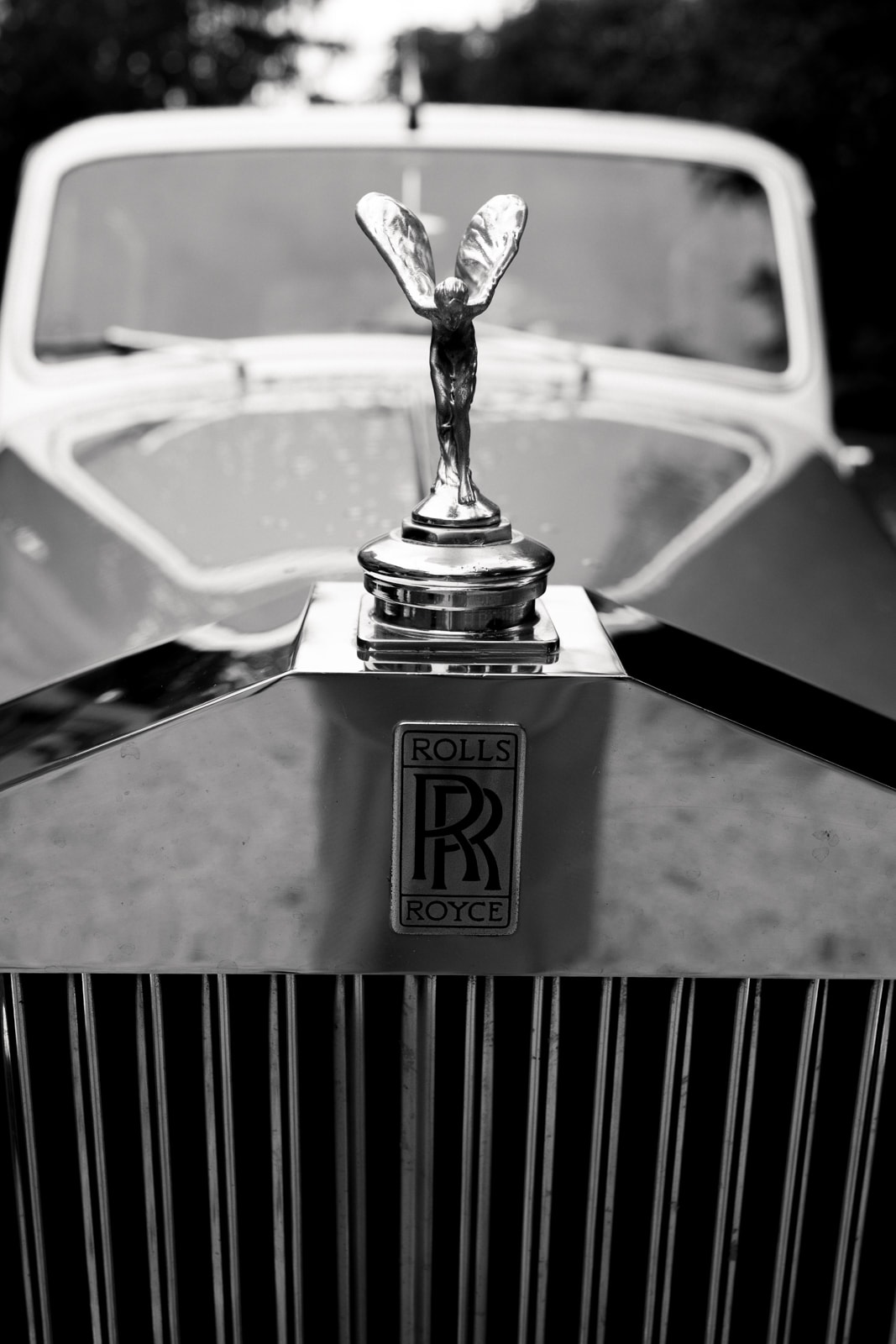 Rolls-Royce Kühlerfigur und Emblem eines Hochzeitsautos in Nahaufnahme