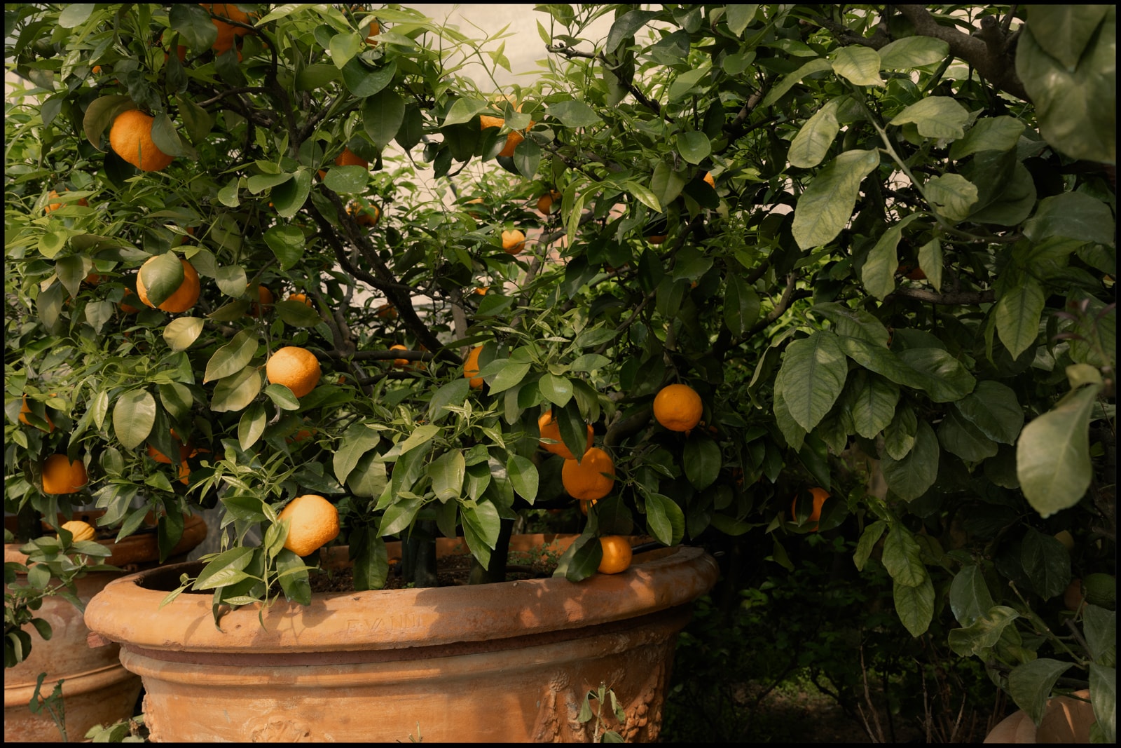 Wedding photography Villa Medicea di Lilliano Tuscany, documentary destination wedding Italy