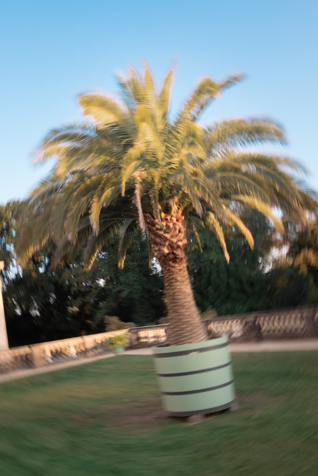 Künstlerische Hochzeitsfotografie mit Bewegungsunschärfe einer Palme und Brunnen im Park