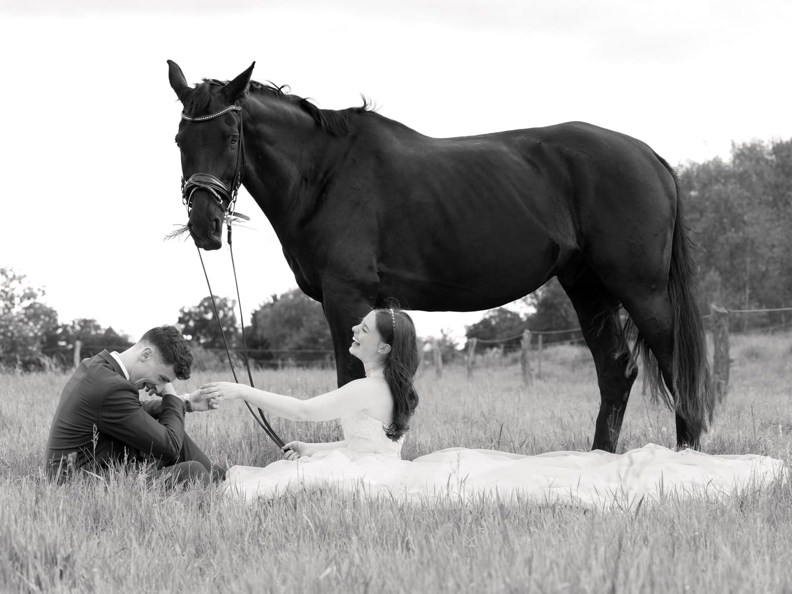 Brautpaar sitzt im Gras neben schwarzem Pferd, Bräutigam küsst Brauthand